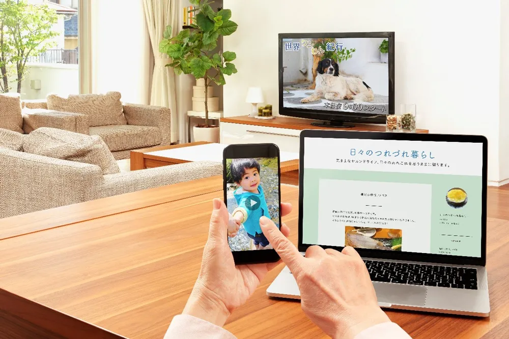 多焦点眼内レンズ 多焦点